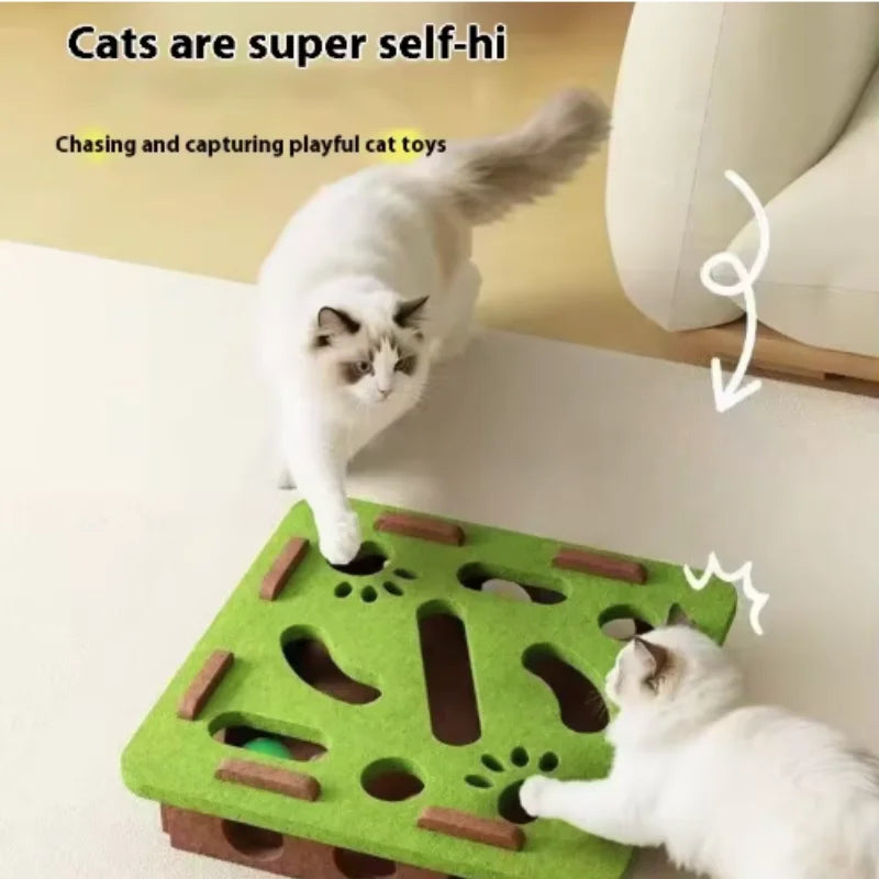 The Puzzle Box That Keeps a Bored Cat Out of Trouble