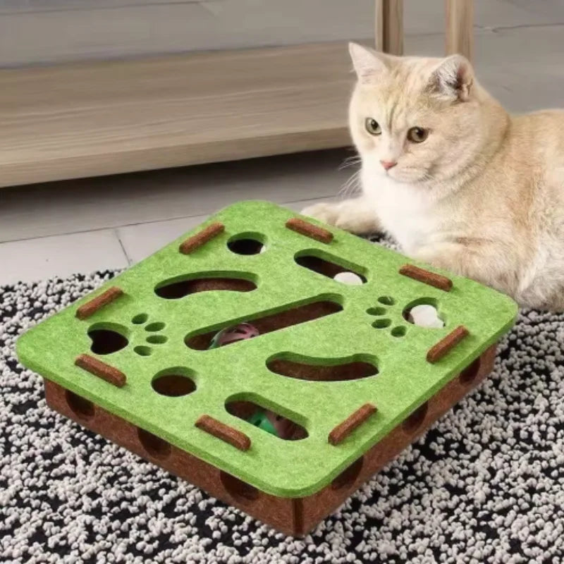 The Puzzle Box That Keeps a Bored Cat Out of Trouble
