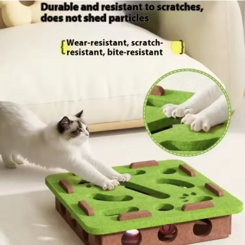 The Puzzle Box That Keeps a Bored Cat Out of Trouble