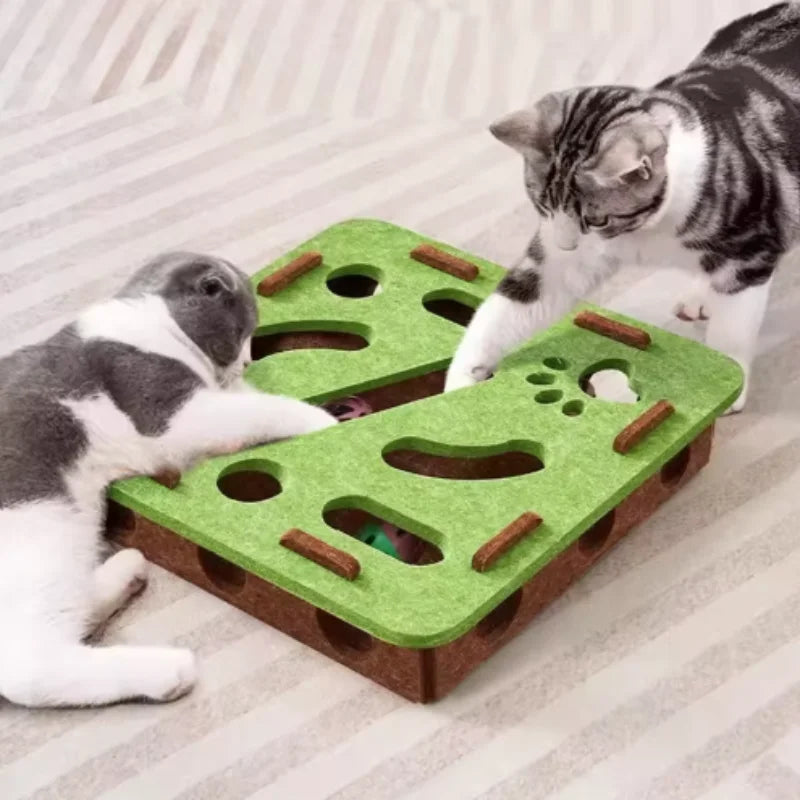 The Puzzle Box That Keeps a Bored Cat Out of Trouble